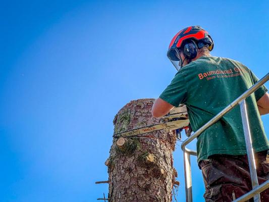 Baumdienst Götz