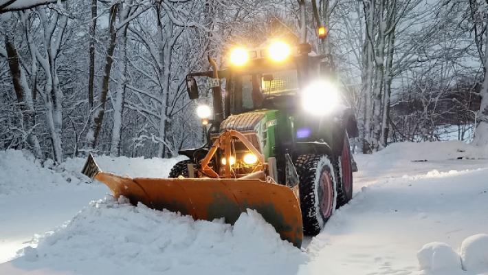 Natur- und Landschaftspflege Belz Baumfällung Forst Garten