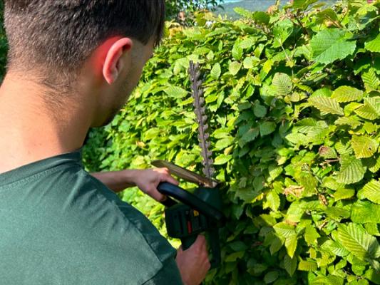 Aaron Dorn Gartenservice