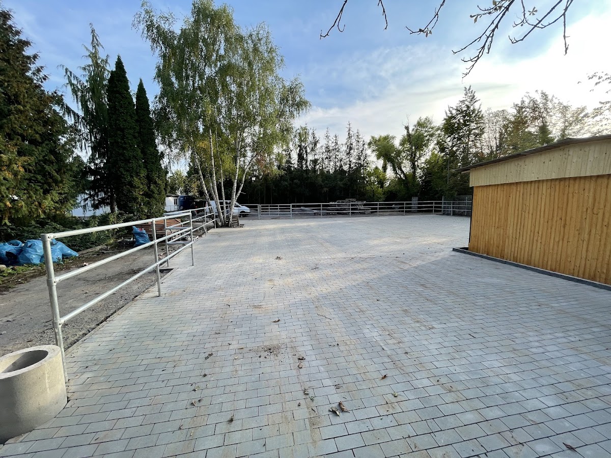 682e838943328