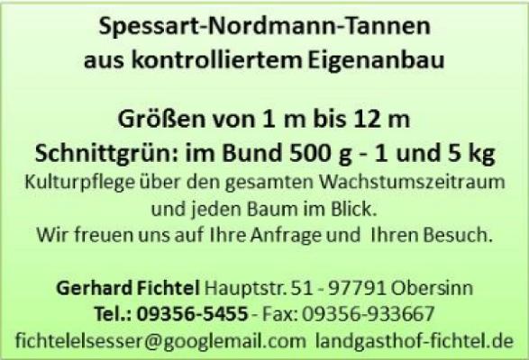 Tannenbäume Gerhard Fichtel