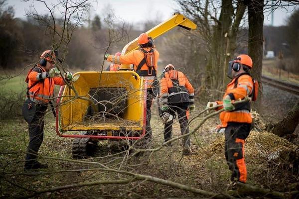 GFL GmbH Baumfällung, Rodungsarbeiten, Abrissarbeiten,Dachreinigung, Baggerarbeiten - Fulda-