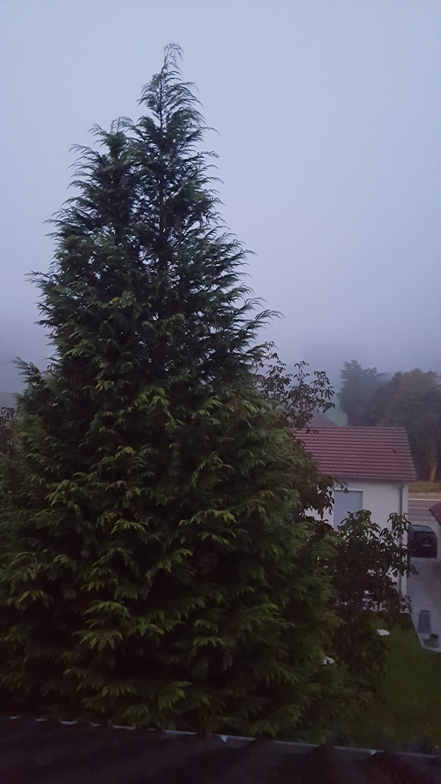 682e83c34c95c