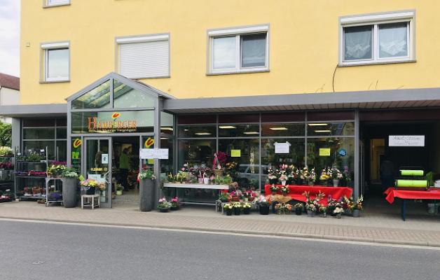Blumen Hamberger OHG