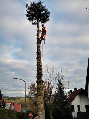 Baum und Gartenpflege Wunderle