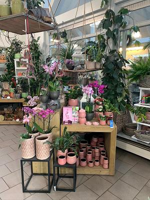 Die Wörnergärtner Blumenhaus