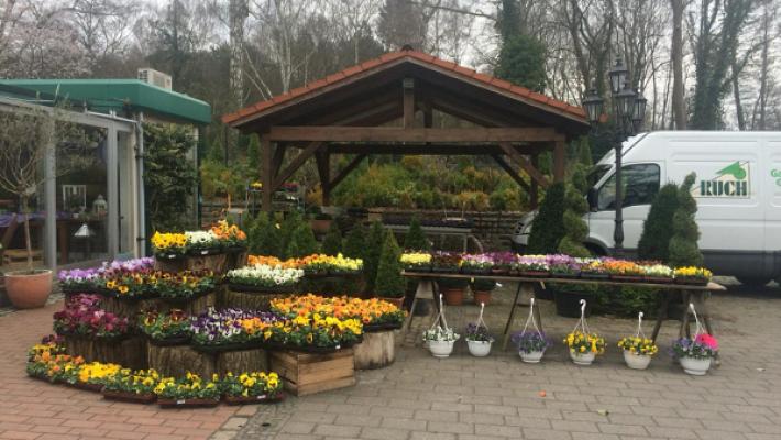 Peter Ruch Garten- und Landschaftsbau Gärtnerei am Heiligensee