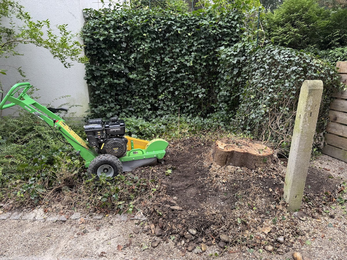 682e84e1659d0