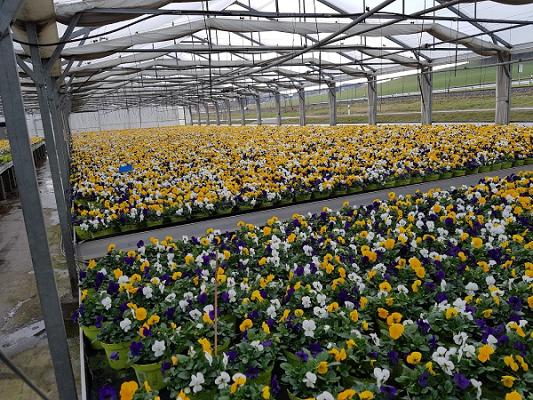 Liebl Gartenbau- Vertriebs u. Handels GmbH