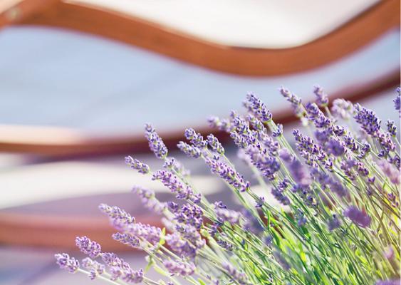 VISION FREIRAUM | Freiraumplanung | Bobingen