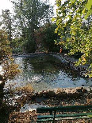 Teichreinigung24 - Ihr professioneller Teichpflege - und Teichreinigungsservice in der Region Berlin / Brandenburg