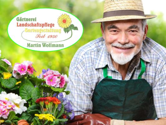Wollmann Martin Garten- und Landschaftspflege