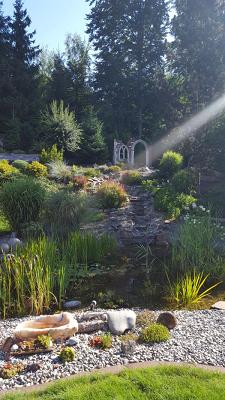 TAF-Services Objektbetreuung GmbH