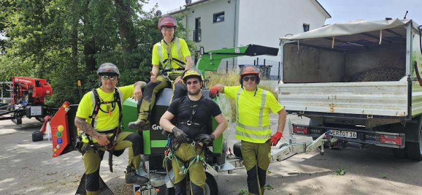 Baumpflege & Sachverständigenbüro Hillenmeyer