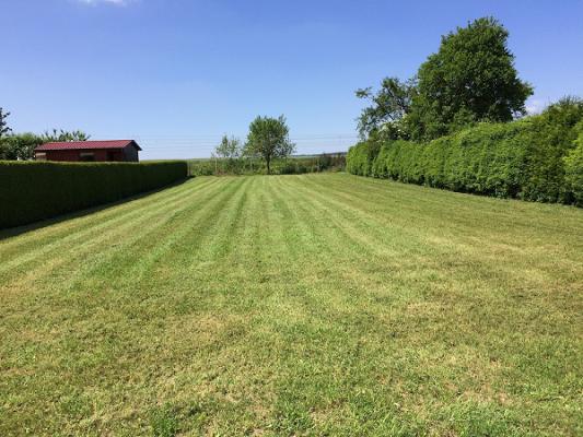 Haus & Gartenservice Dambaur