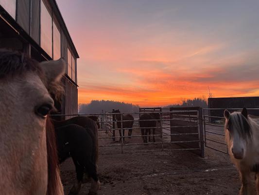 Bauer & Königer GmbH - Anderer Leistungsanbieter §60 SGB IX