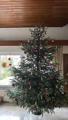 Forstbetrieb Steppich GbR