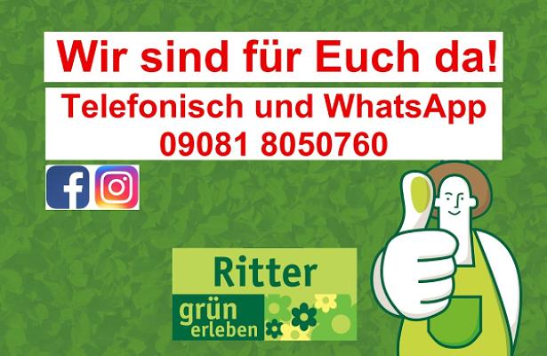 682e87a0c390a