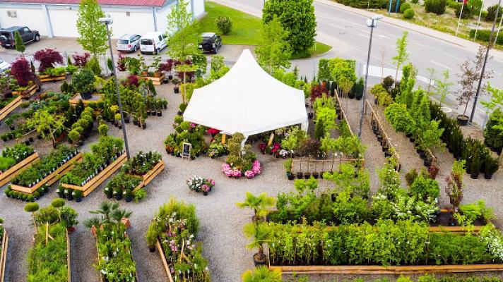 Wölfle Garten- und Landschaftsbau Pflanzenverkauf