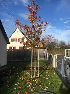 Gartenpflege Werner