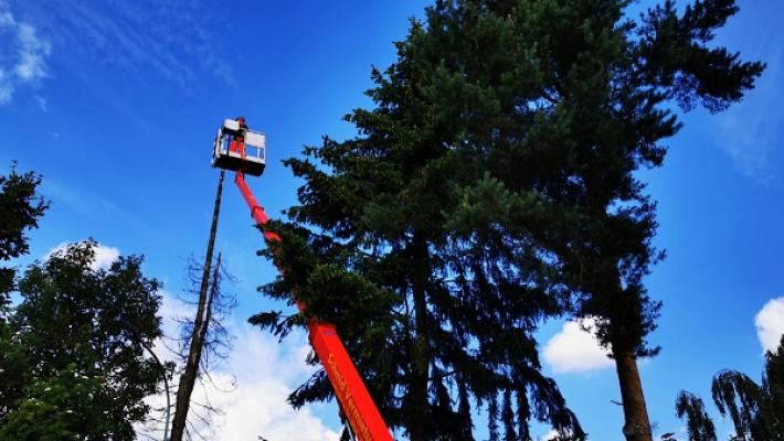 Schuster Benedikt - Brennholzhandel, Problembaumfällung, Baumpflege, Grünpflege und Forst