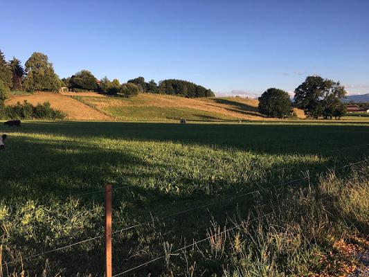 Allgäuer Gartengestaltung