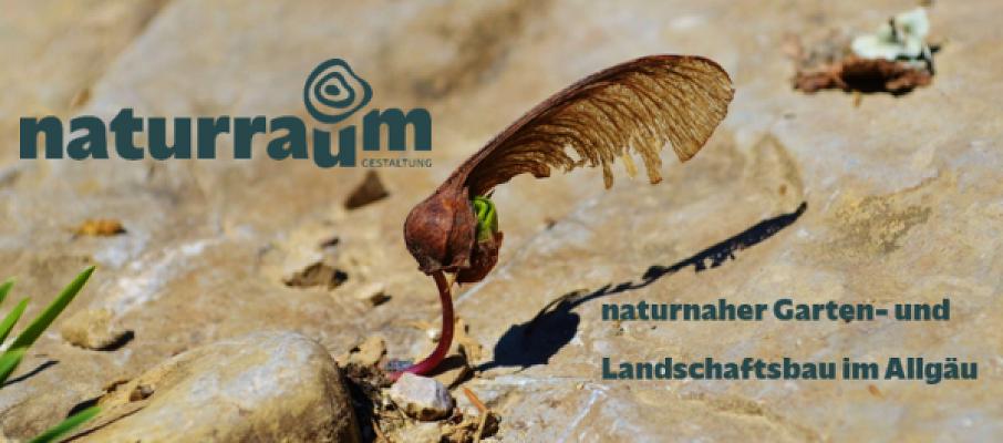 NaturRaum - Gestaltung (Patrick Thierfelder)