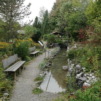 Alpengarten Pfronten