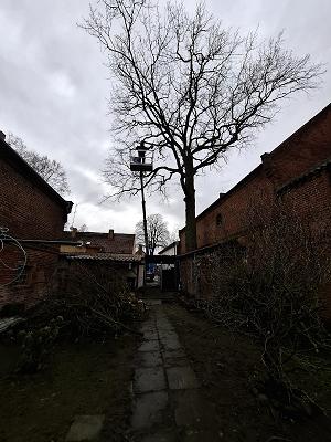 Baumpflege und Gartenpflege Rico Aust