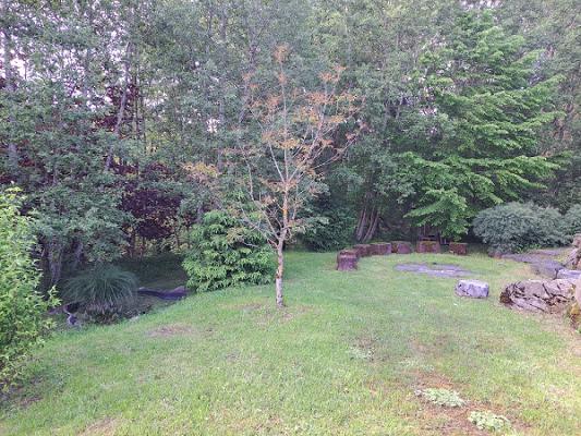 Schulgarten der GMS Buchenberg