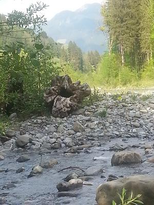 Thannheimer & Müller GmbH