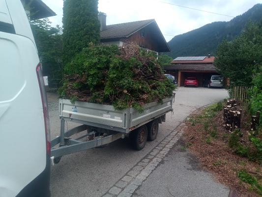 Michl's Hilfsmobil (Wohnung, Haus und Garten)