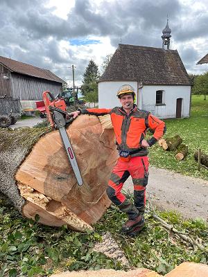 AllgäuFORST - Baumpflege, Problembaumfällungen mit Wurzelstockfräse und Forstdienstleistungen