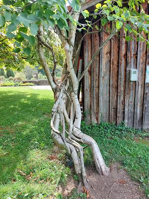 Kreislehrgarten Unterallgäu