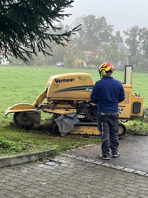 Wurzelstock Fräsen Allgäu - Stefan Müller