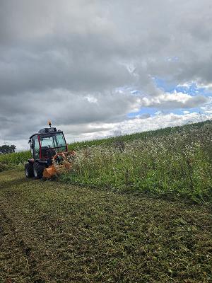 Schaub Dienstleistungen