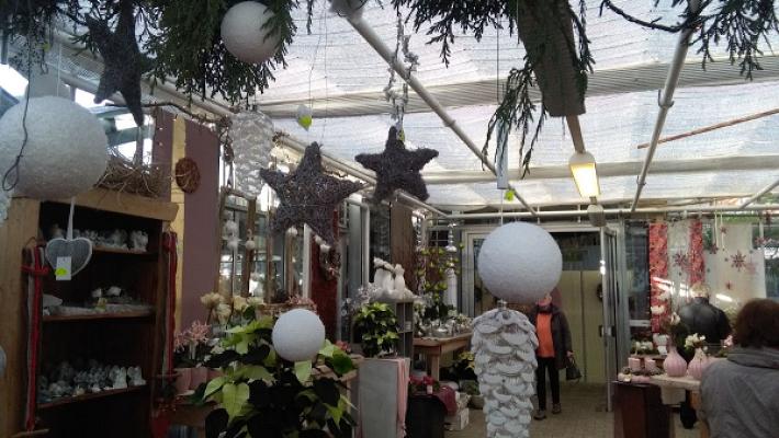 Blumen & Gärtnerei Rommel