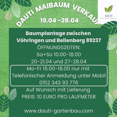 Weihnachtsbaum und Maibaumverkauf Dauti Gartenbau