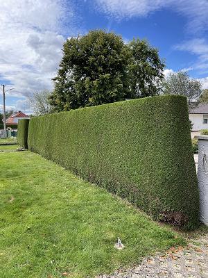 Thore Hoss Garten- & Baumpflege