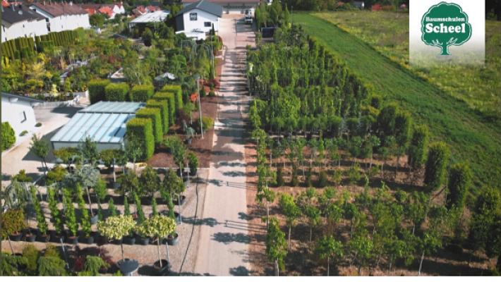 Baumschulen Scheel eGbR