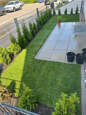 Temi Pantina Gartenbau