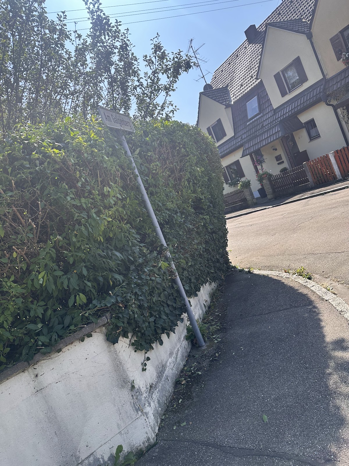 682e8c5754370