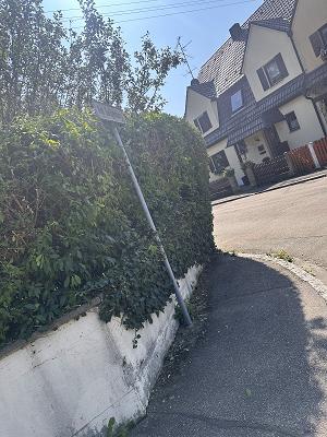 682e8c5754370