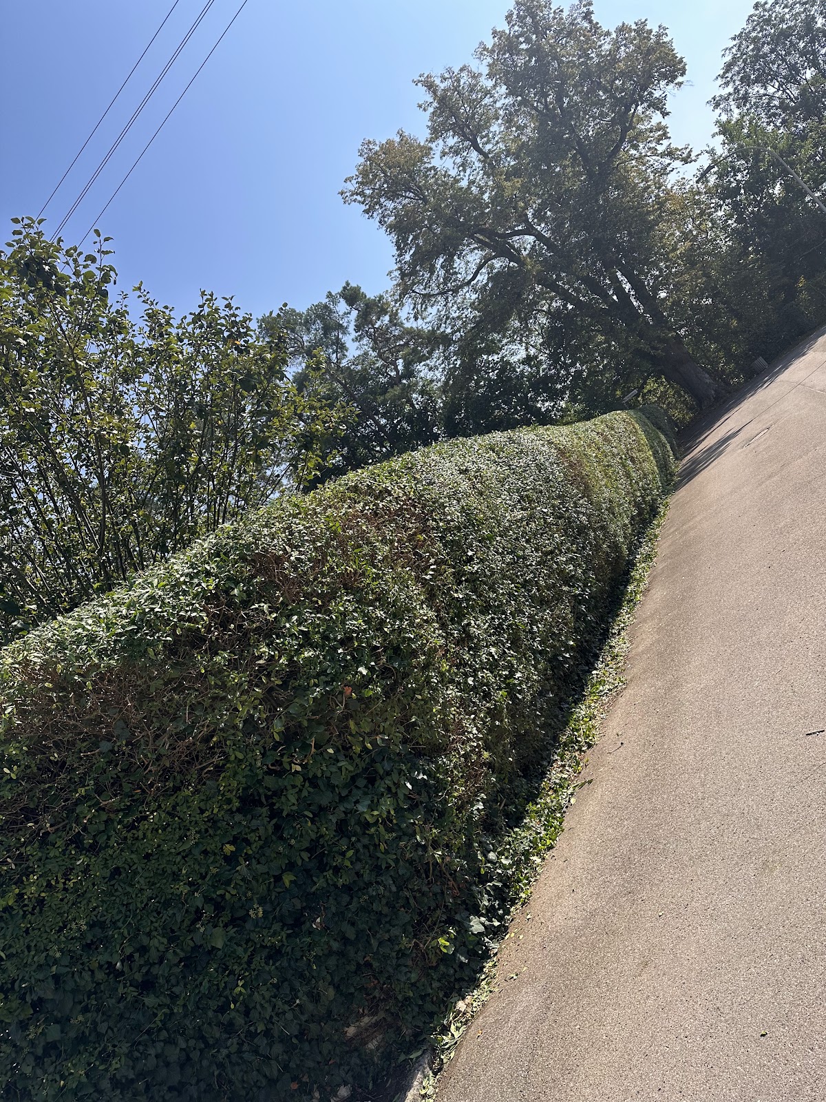 682e8c5875399