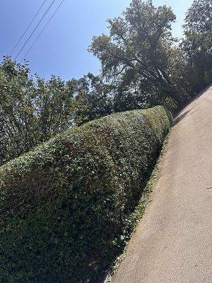 682e8c5875399