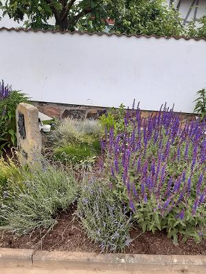 Paul Sonntag - Gartengestaltung und -pflege