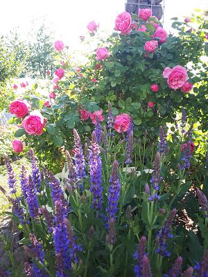 Baumschule & Gartenpflege Euler