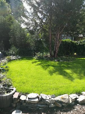 Mj Garten und Landschaftsbau