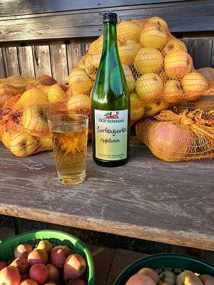 OGV Schöneck Lehrgarten