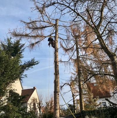 Stümpfig Garten- und Landschaftspflege
